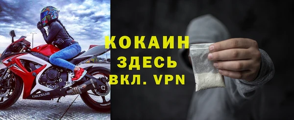 индика Алексин