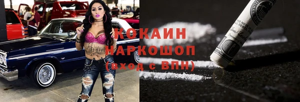 индика Алексин