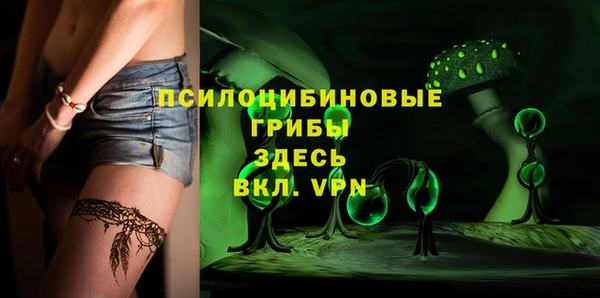 индика Алексин