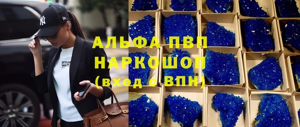 индика Алексин