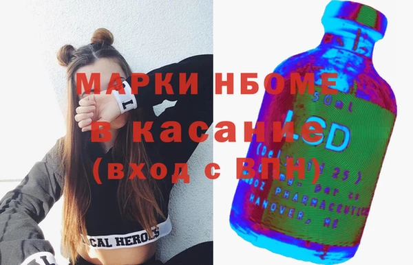 индика Алексин