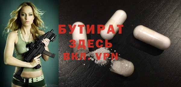 индика Алексин